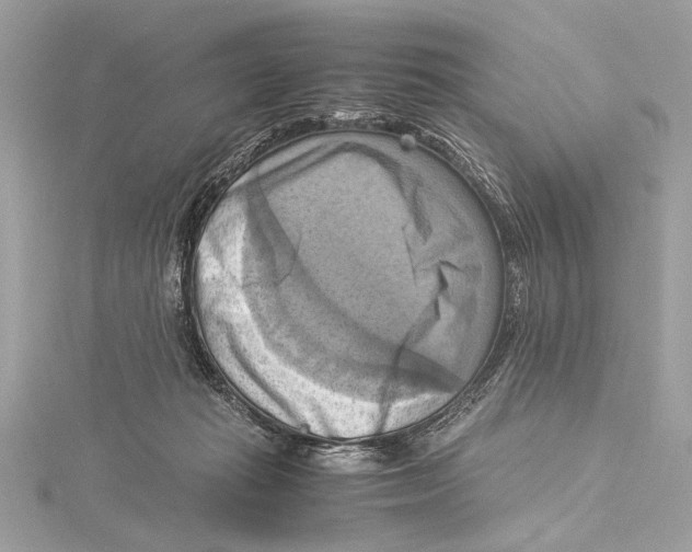 X0000115560269200912041059