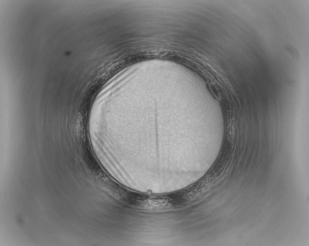 X0000115560270200912041059