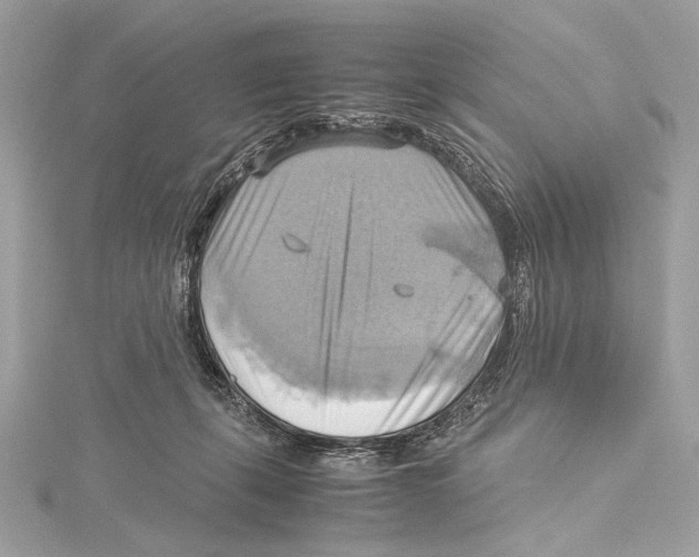 X0000115560271200912041059