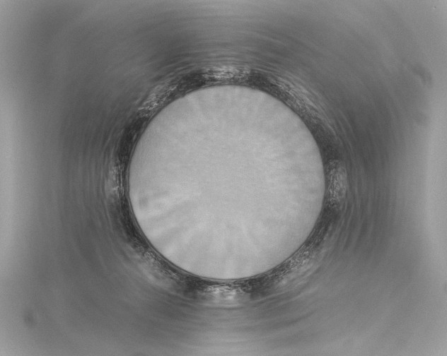 X0000115560272200912041059