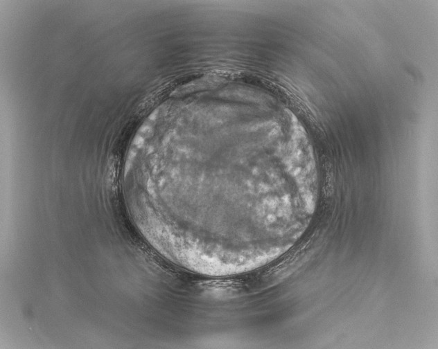 X0000115560273200912041059