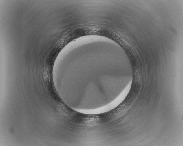 X0000115560274200912041059