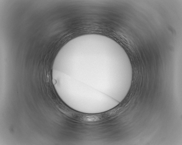 X0000115560275200912041059