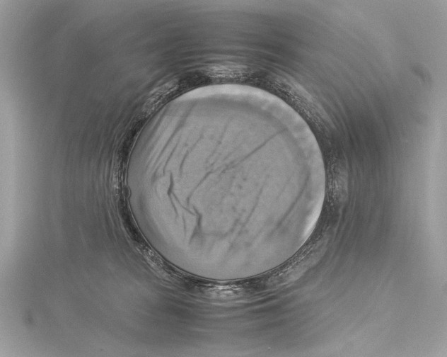 X0000115560277200912041059