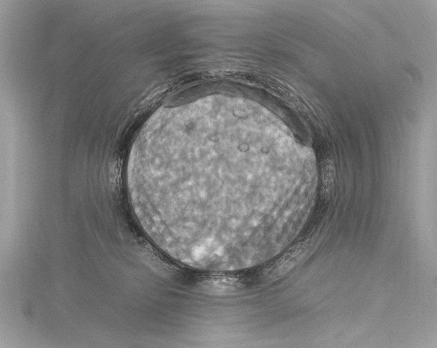 X0000115560278200912041059