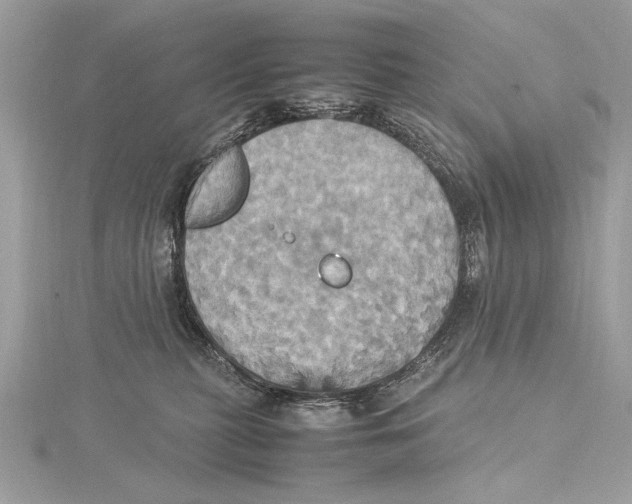 X0000115560279200912041059