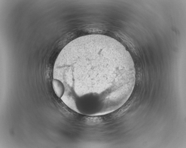 X0000115560281200912041059