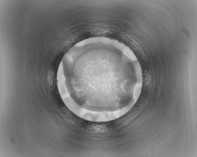 X0000115560283200912041059