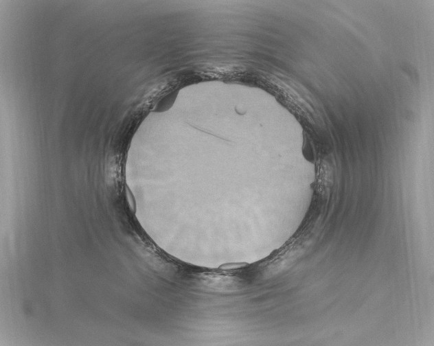 X0000115560284200912041059