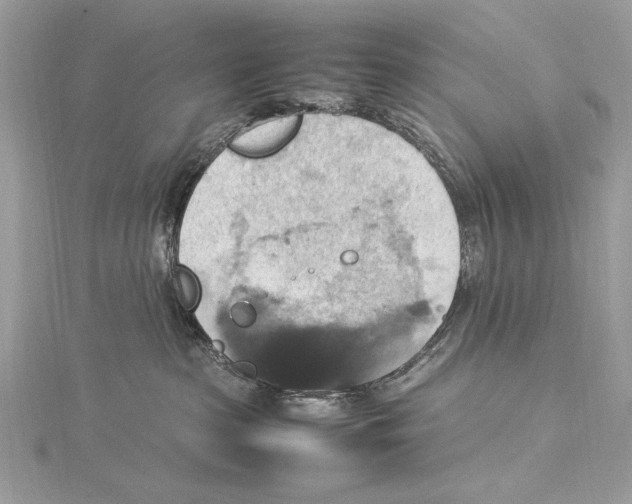 X0000115560285200912041059