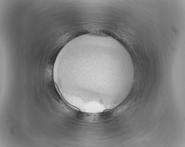 X0000115560288200912041059