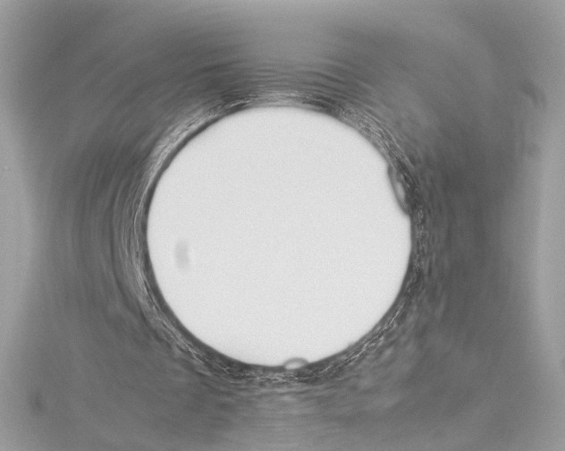 X0000115560289200912041059