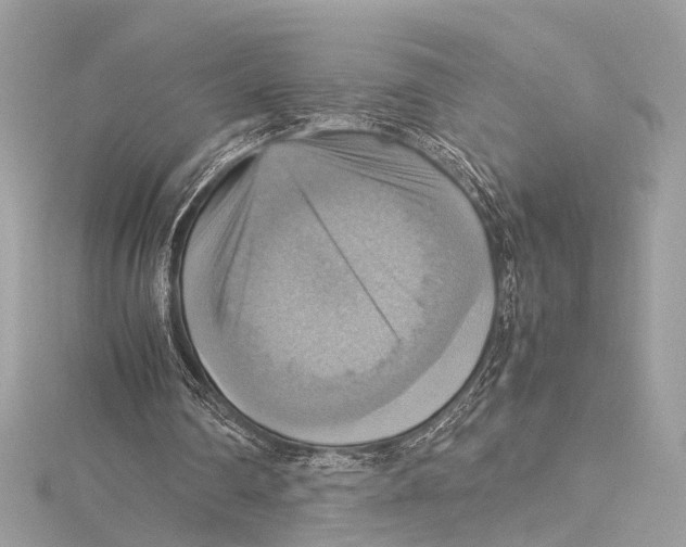 X0000115560290200912041059