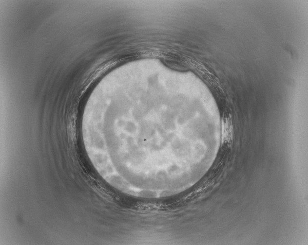 X0000115560291200912041059