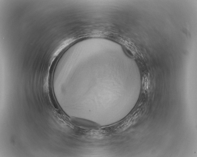 X0000115560292200912041059