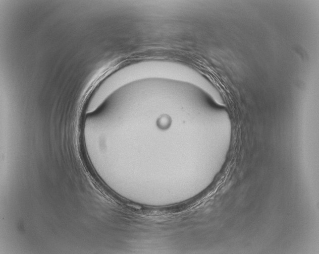 X0000115560293200912041059