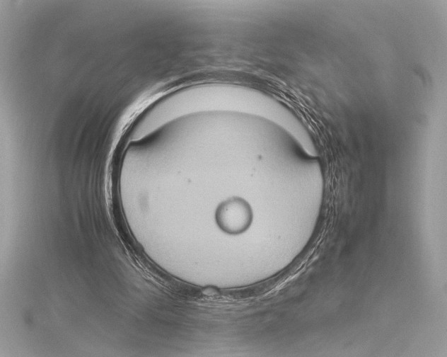 X0000115560294200912041059