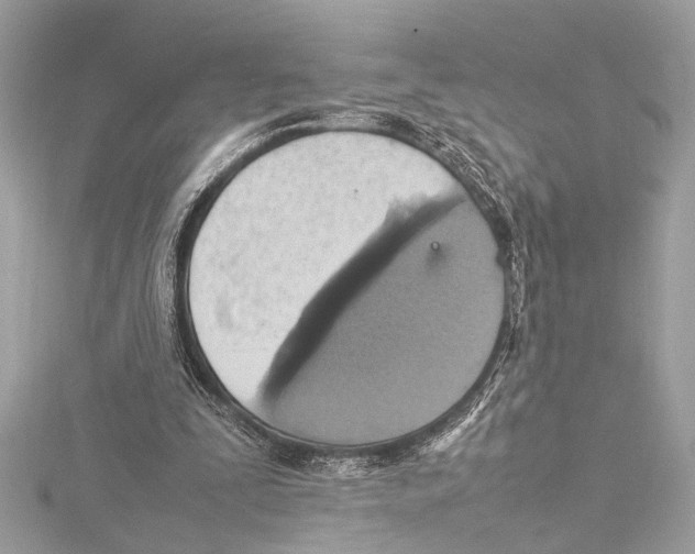 X0000115560295200912041059