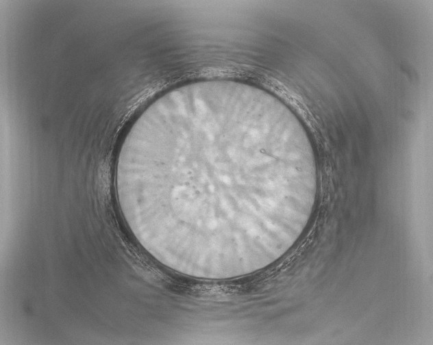 X0000115560297200912041059