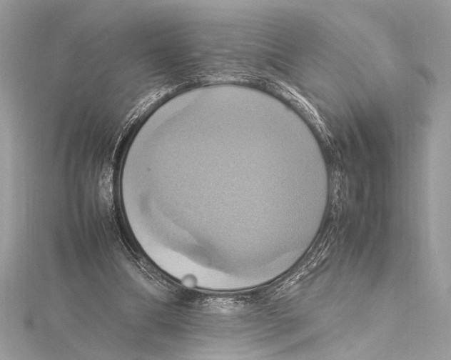 X0000115560298200912041059