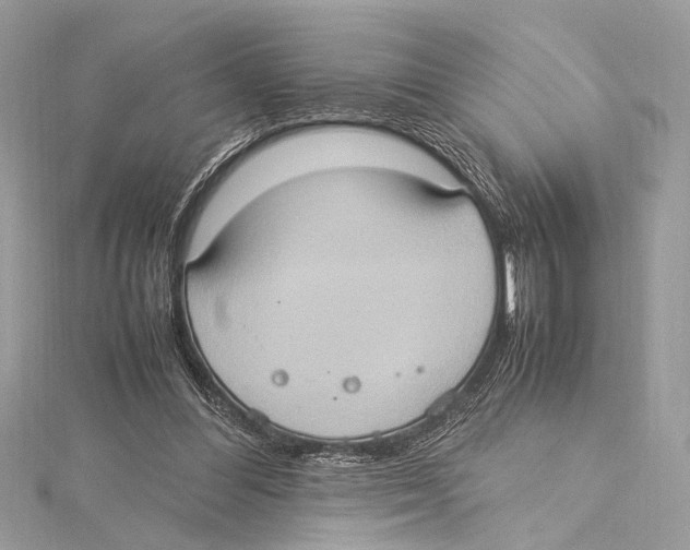 X0000115560300200912041059