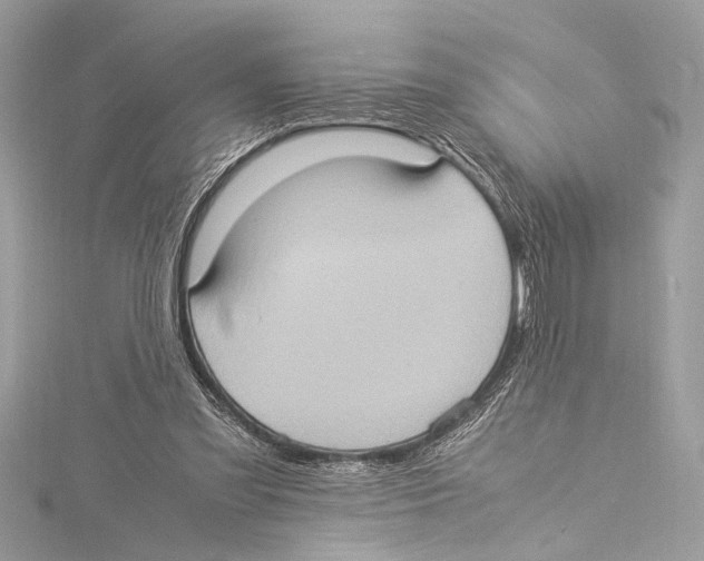 X0000115560301200912041059