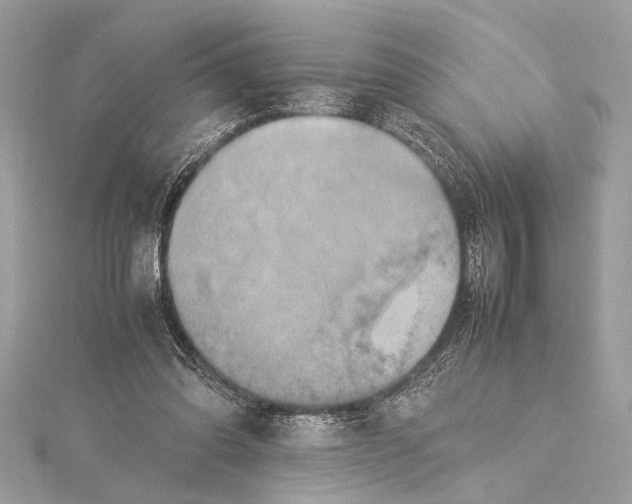 X0000115560302200912041059