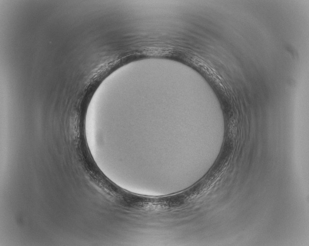 X0000115560303200912041059