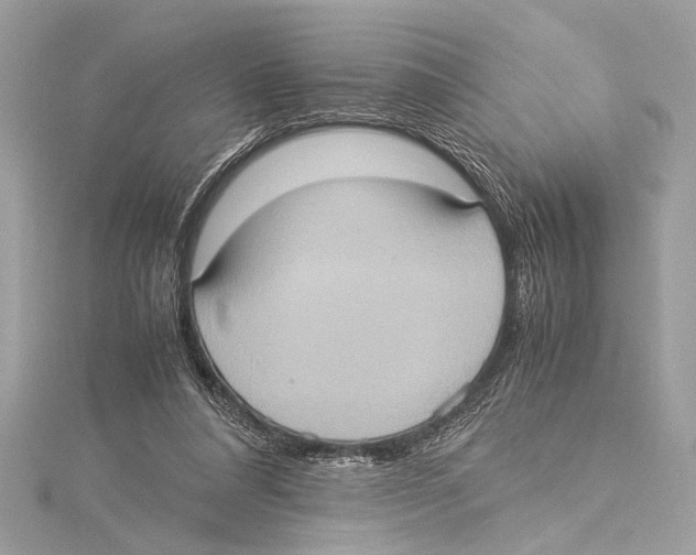 X0000115560304200912041059