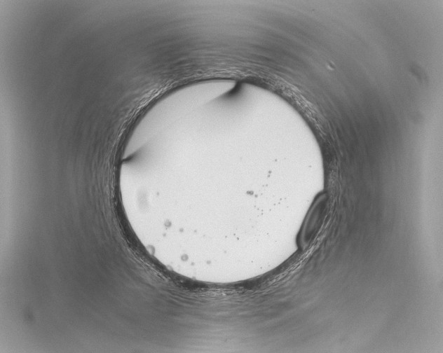 X0000115560305200912041059