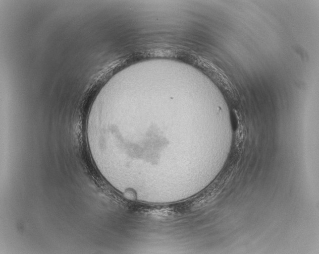 X0000115560306200912041059