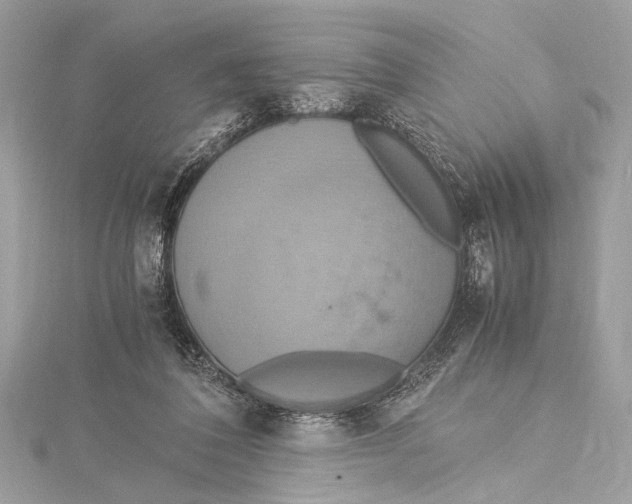 X0000115560308200912041059