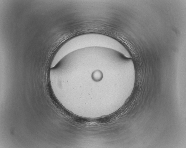 X0000115560309200912041059