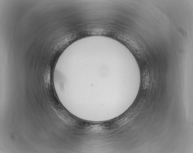 X0000115560310200912041059