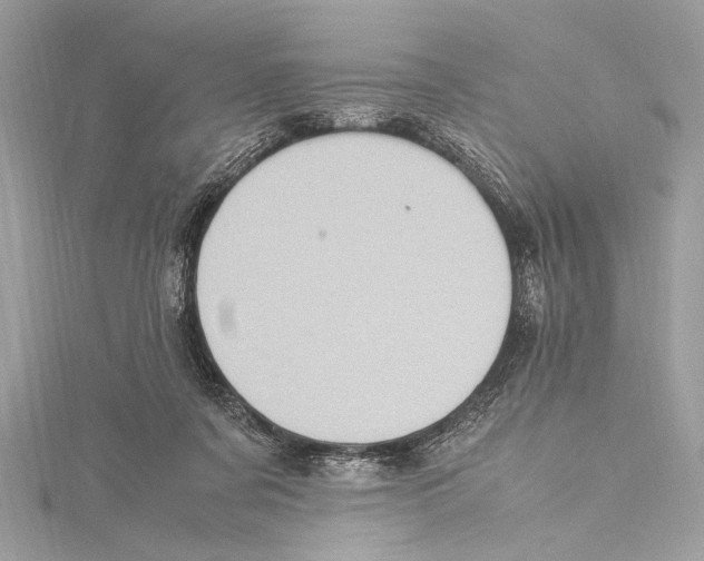 X0000115560311200912041059