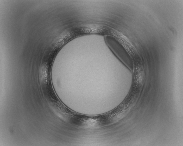 X0000115560312200912041058