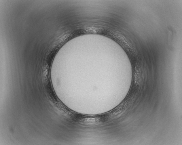 X0000115560314200912041058