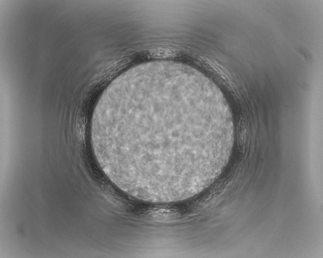 X0000115560315200912041058