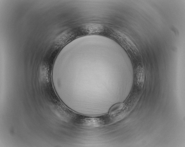 X0000115560316200912041058