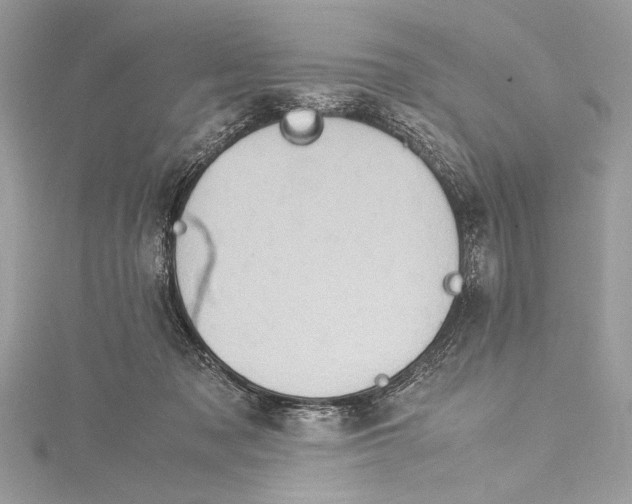 X0000115560317200912041058