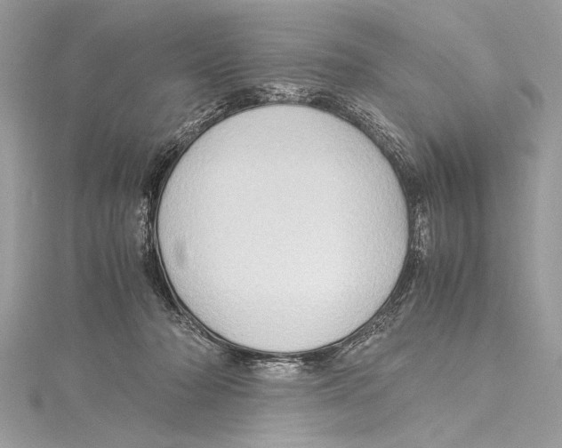 X0000115560318200912041058