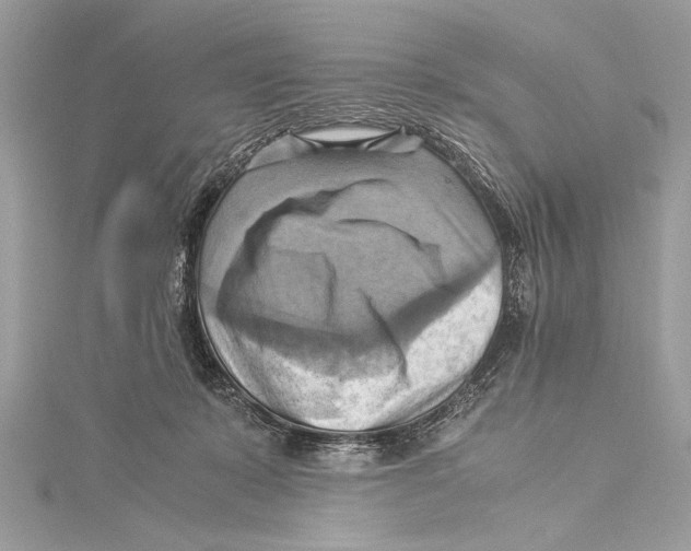 X0000115560319200912041058