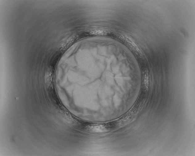 X0000115560322200912041058