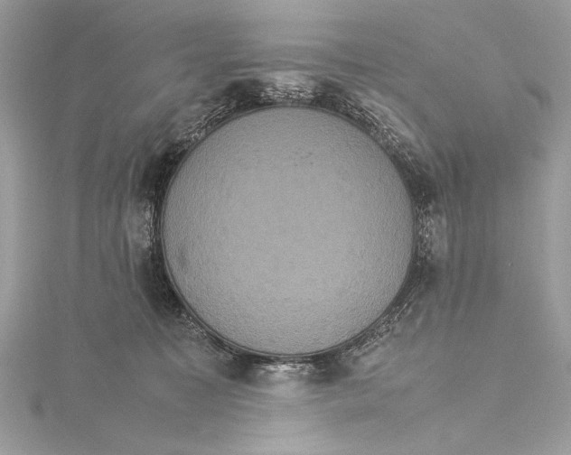 X0000115560323200912041058