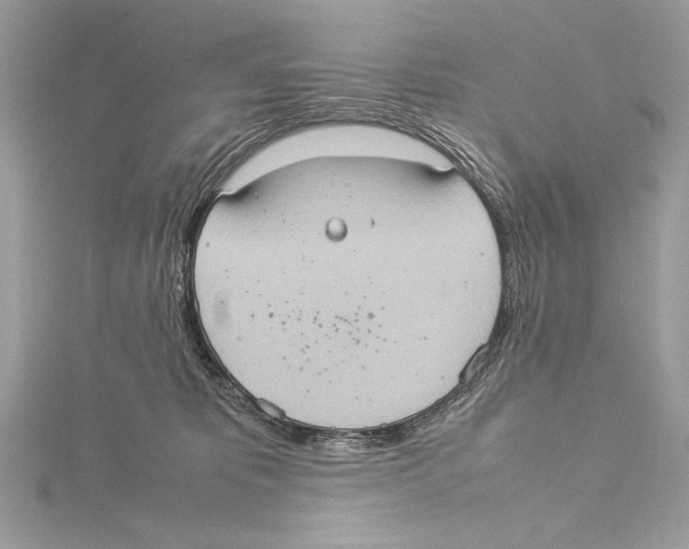 X0000115560325200912041058