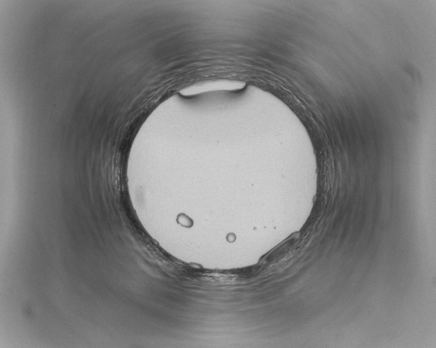 X0000115560328200912041058