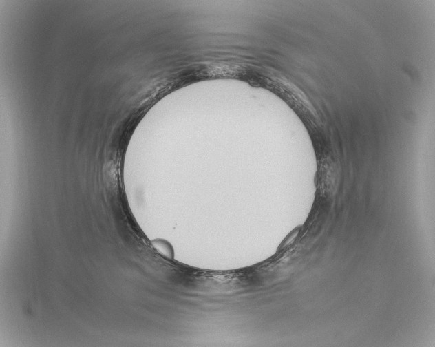 X0000115560329200912041058