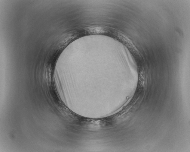 X0000115560330200912041058