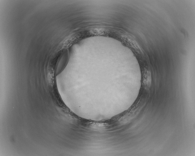 X0000115560332200912041058