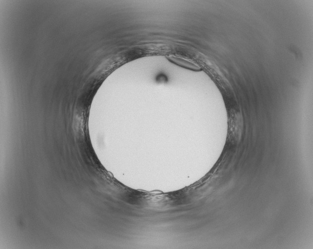 X0000115560333200912041058